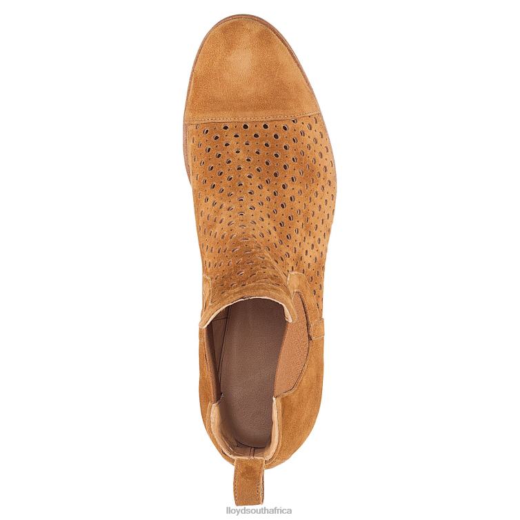 Shoes brown LLOYD Chelsea ANKLE BOOTS Women 86B4D993