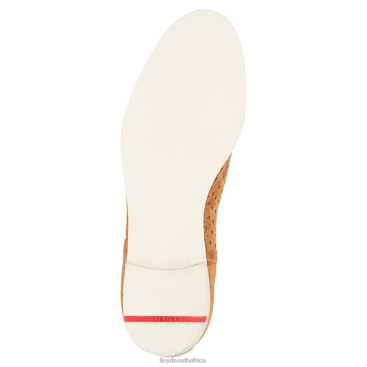 Shoes brown LLOYD Chelsea ANKLE BOOTS Women 86B4D993