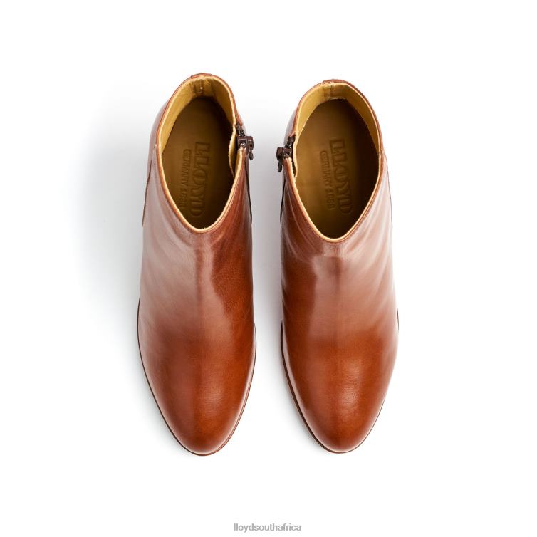 Shoes brown LLOYD LEATHER ANKLE BOOTS Women 86B4D921
