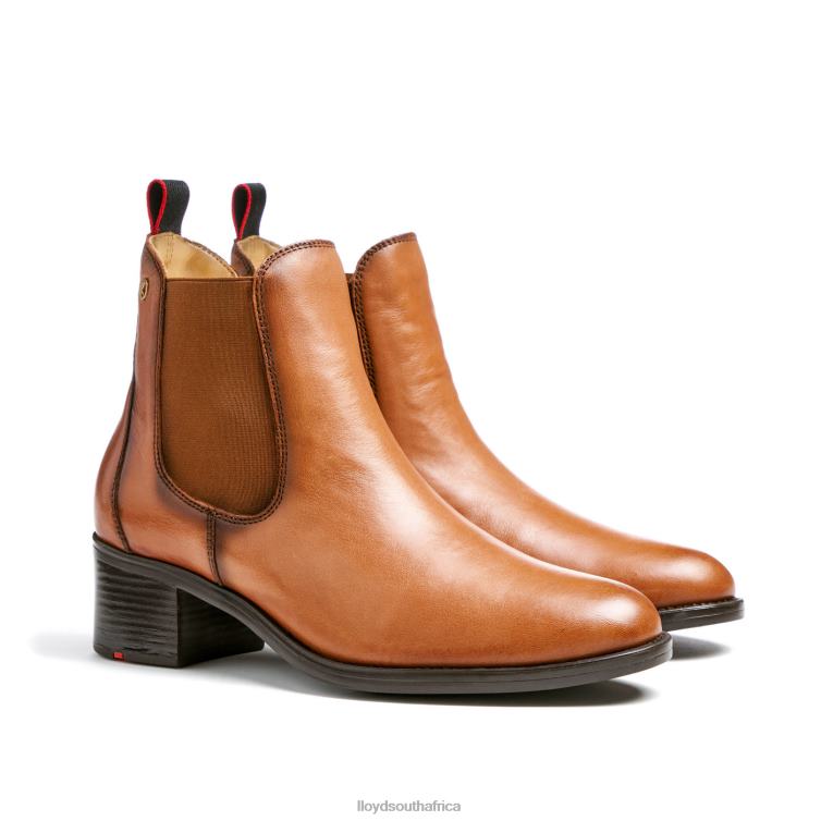 Shoes brown LLOYD LEATHER ANKLE BOOTS Women 86B4D929