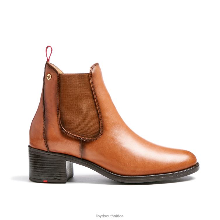 Shoes brown LLOYD LEATHER ANKLE BOOTS Women 86B4D929