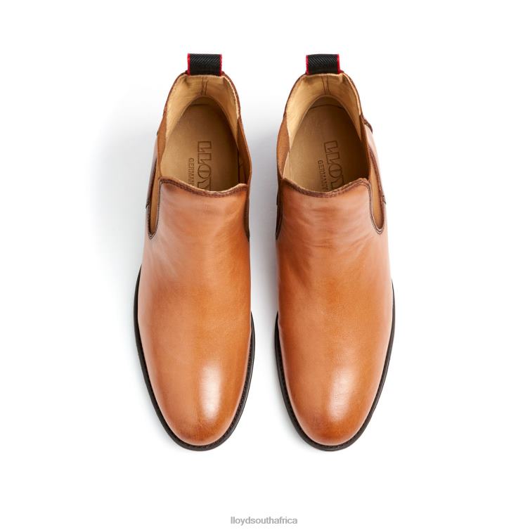 Shoes brown LLOYD LEATHER ANKLE BOOTS Women 86B4D929