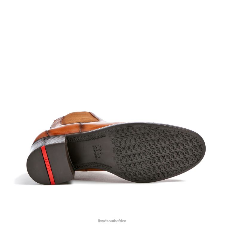 Shoes brown LLOYD LEATHER ANKLE BOOTS Women 86B4D929