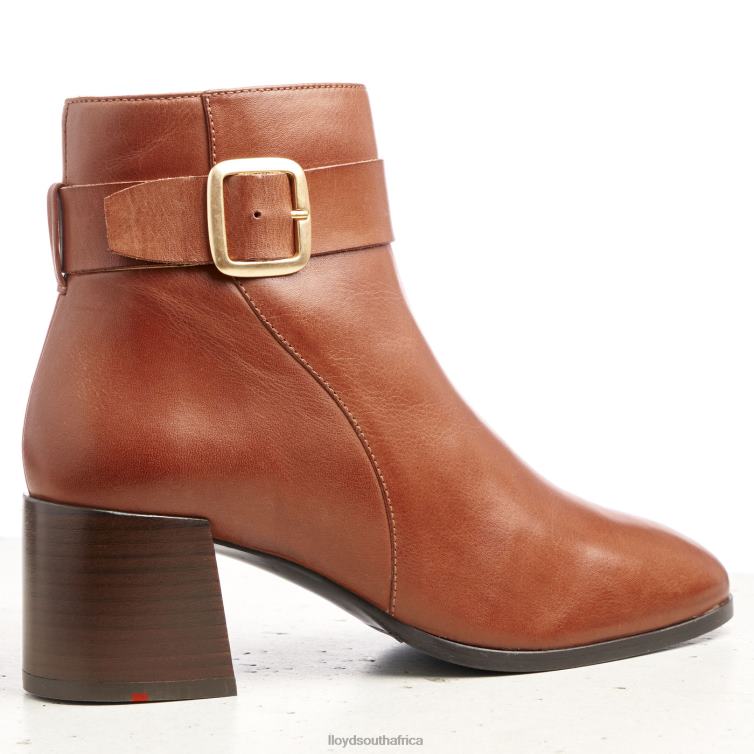 Shoes brown LLOYD SMOOTH LEATHER ANKLE BOOTS Women 86B4D968