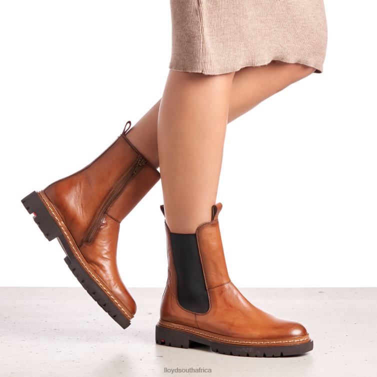 Shoes brown LLOYD STIEFELETTE Women 86B4D963