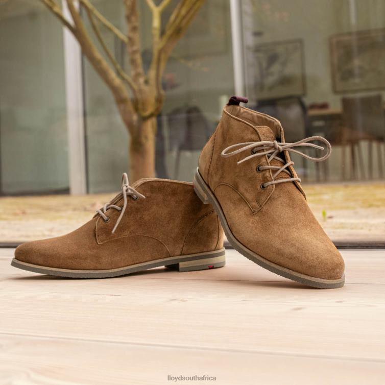 Shoes brown LLOYD breathable ANKLE BOOTS Women 86B4D874