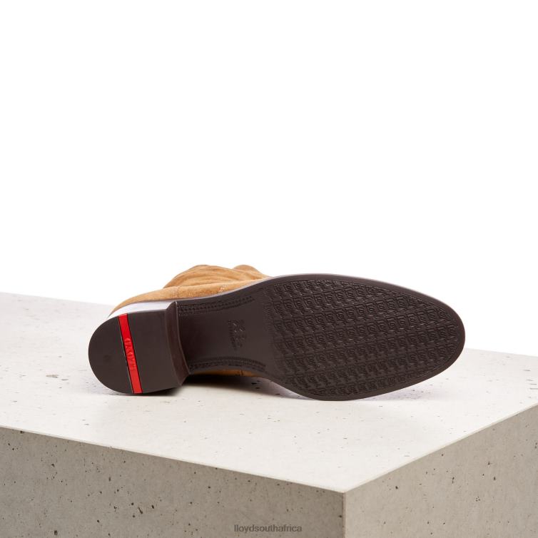 Shoes brown LLOYD breathable ANKLE BOOTS Women 86B4D962