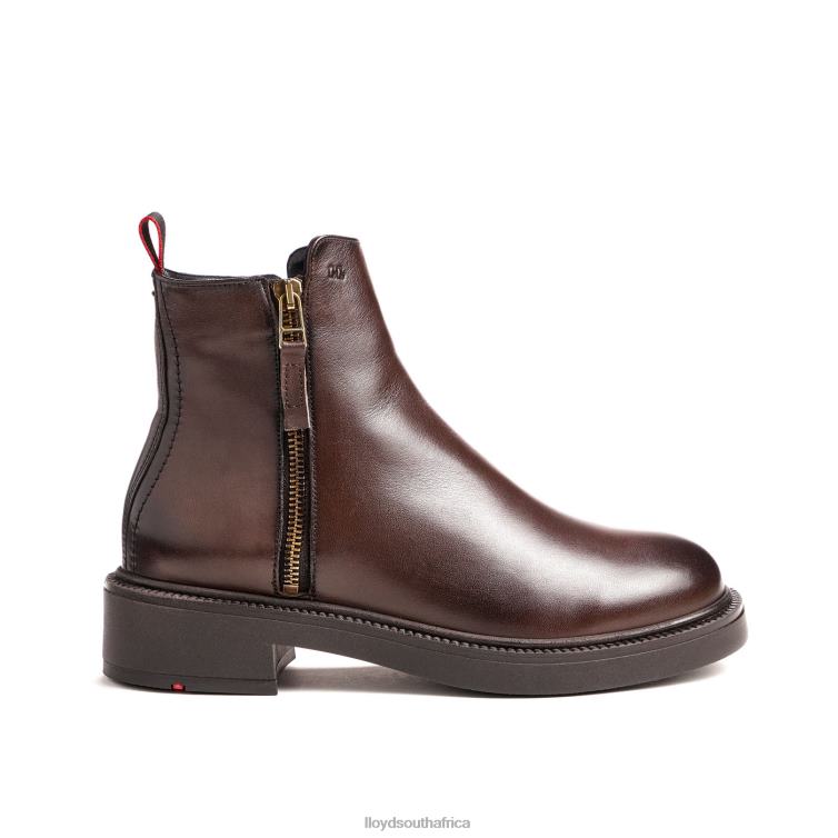 Shoes brown LLOYD classic ANKLE BOOT Women 86B4D876