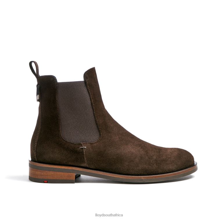 Shoes brown LLOYD classic ANKLE BOOT Women 86B4D898