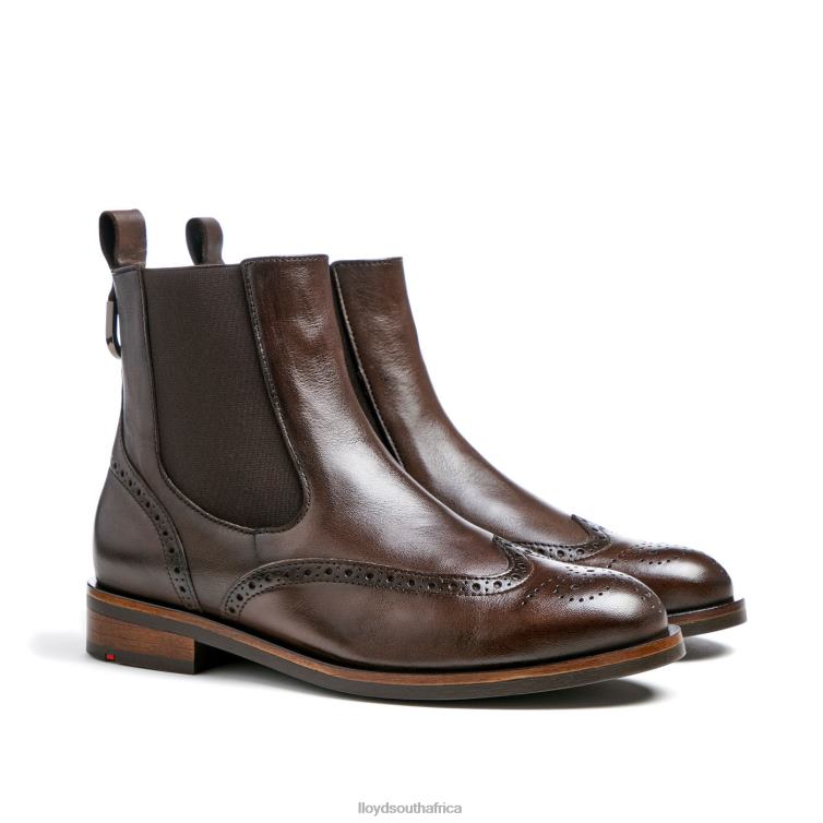 Shoes brown LLOYD classic ANKLE BOOT Women 86B4D905