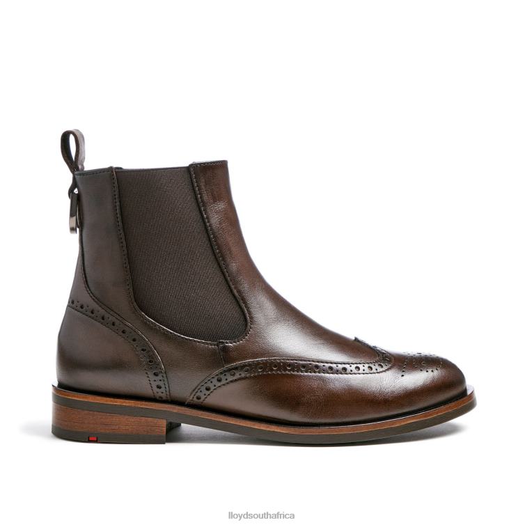 Shoes brown LLOYD classic ANKLE BOOT Women 86B4D905