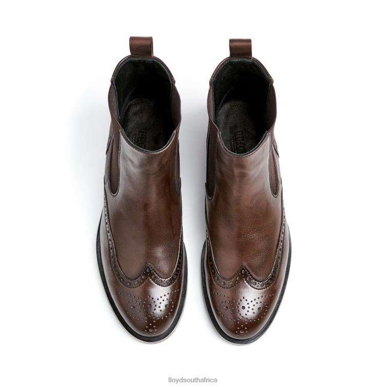 Shoes brown LLOYD classic ANKLE BOOT Women 86B4D905