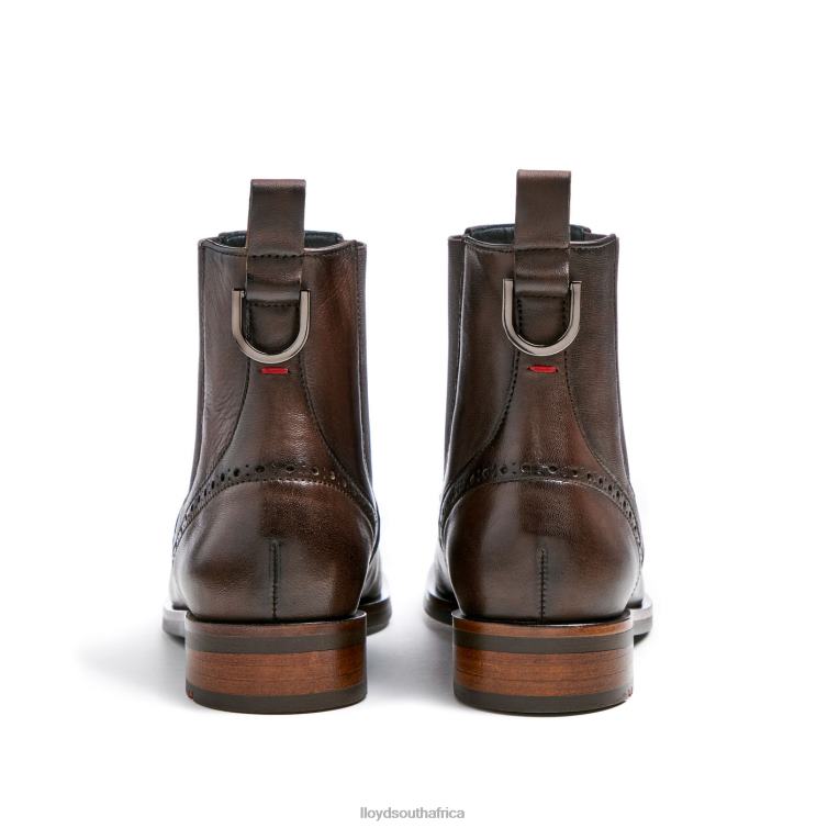Shoes brown LLOYD classic ANKLE BOOT Women 86B4D905