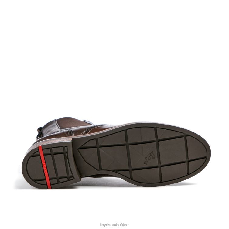 Shoes brown LLOYD classic ANKLE BOOT Women 86B4D905