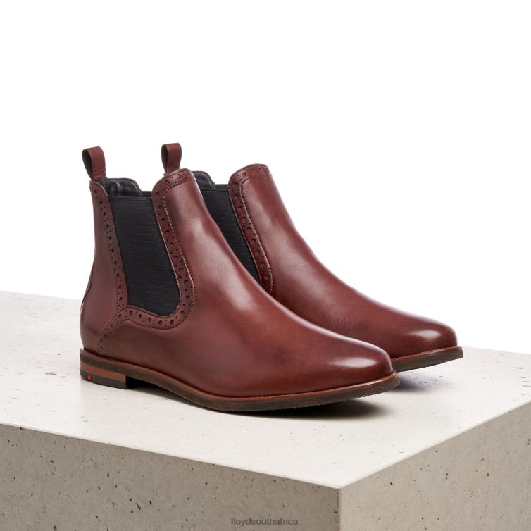 Shoes brown LLOYD easy slipping-into ANKLE BOOTS Women 86B4D1004