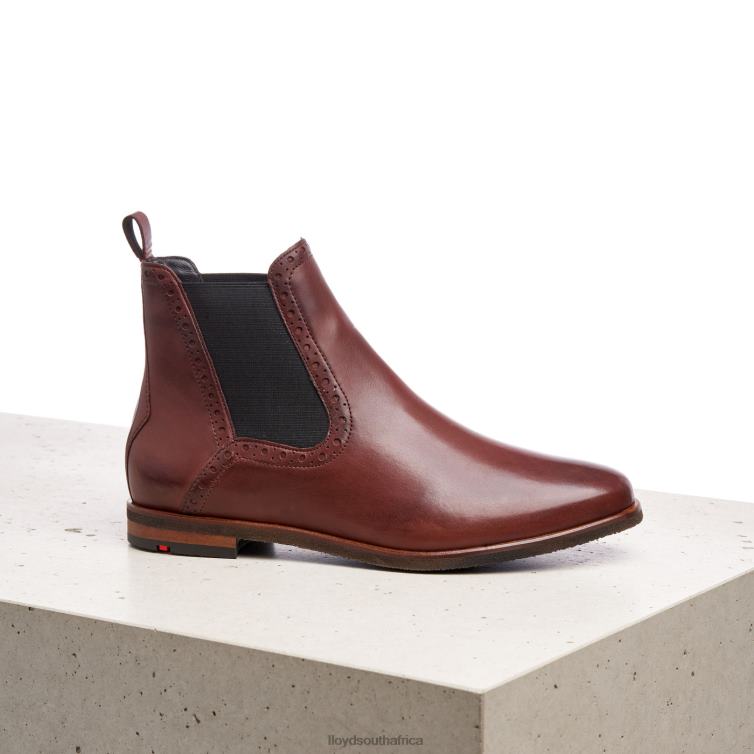 Shoes brown LLOYD easy slipping-into ANKLE BOOTS Women 86B4D1004