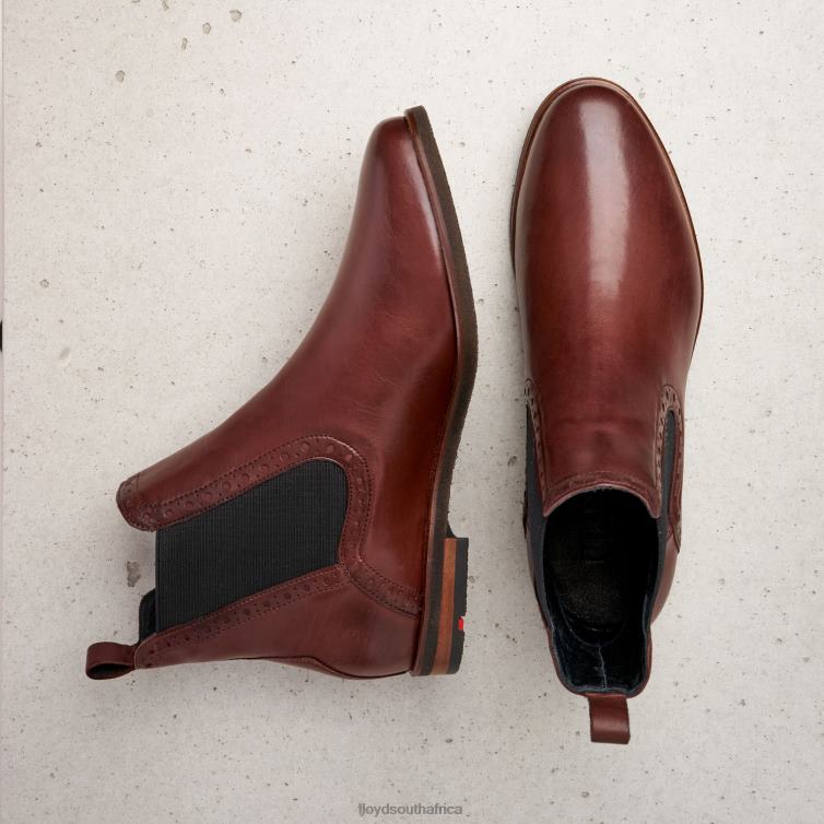 Shoes brown LLOYD easy slipping-into ANKLE BOOTS Women 86B4D1004