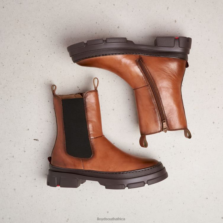 Shoes brown LLOYD easy slipping-into ANKLE BOOTS Women 86B4D987