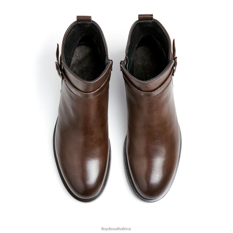 Shoes brown LLOYD fashion leather ANKLE BOOT Women 86B4D899