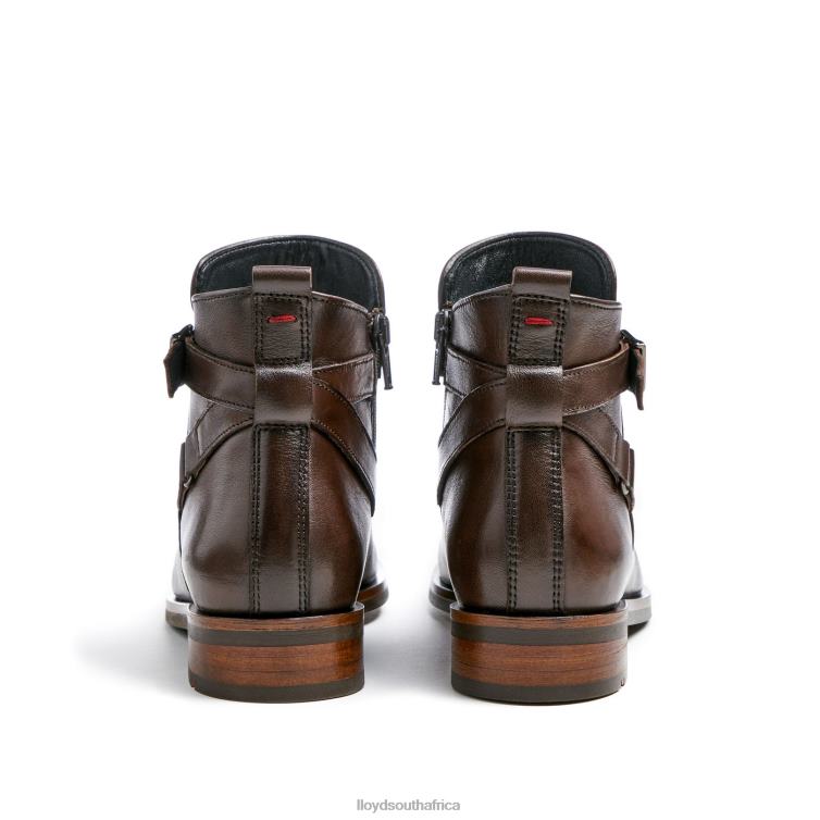 Shoes brown LLOYD fashion leather ANKLE BOOT Women 86B4D899