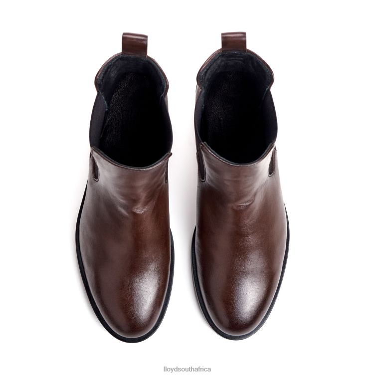 Shoes brown LLOYD fashion smooth leather ANKLE BOOT Women 86B4D897