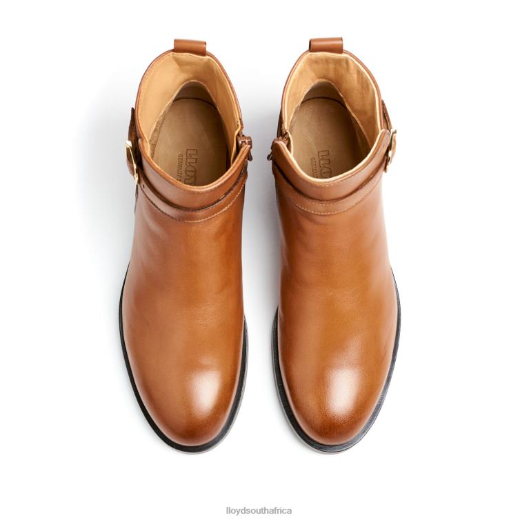 Shoes brown LLOYD fashion smooth leather ANKLE BOOT Women 86B4D900
