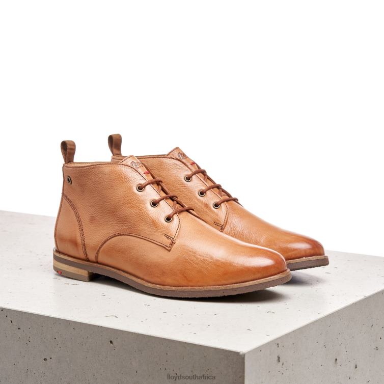 Shoes brown LLOYD lace-up ANKLE BOOTS Women 86B4D994