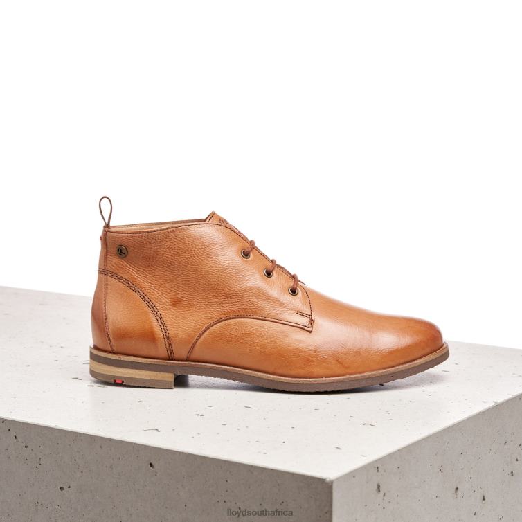 Shoes brown LLOYD lace-up ANKLE BOOTS Women 86B4D994