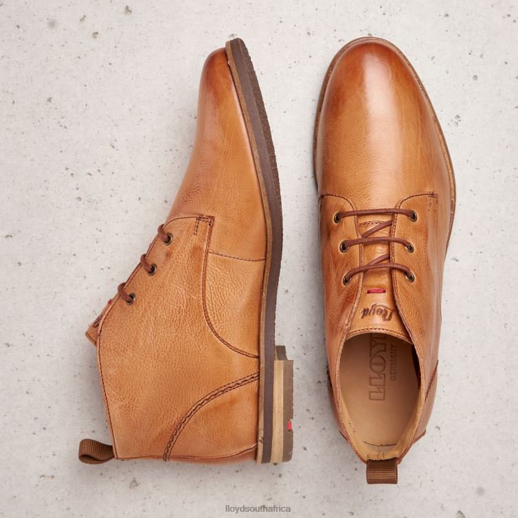 Shoes brown LLOYD lace-up ANKLE BOOTS Women 86B4D994