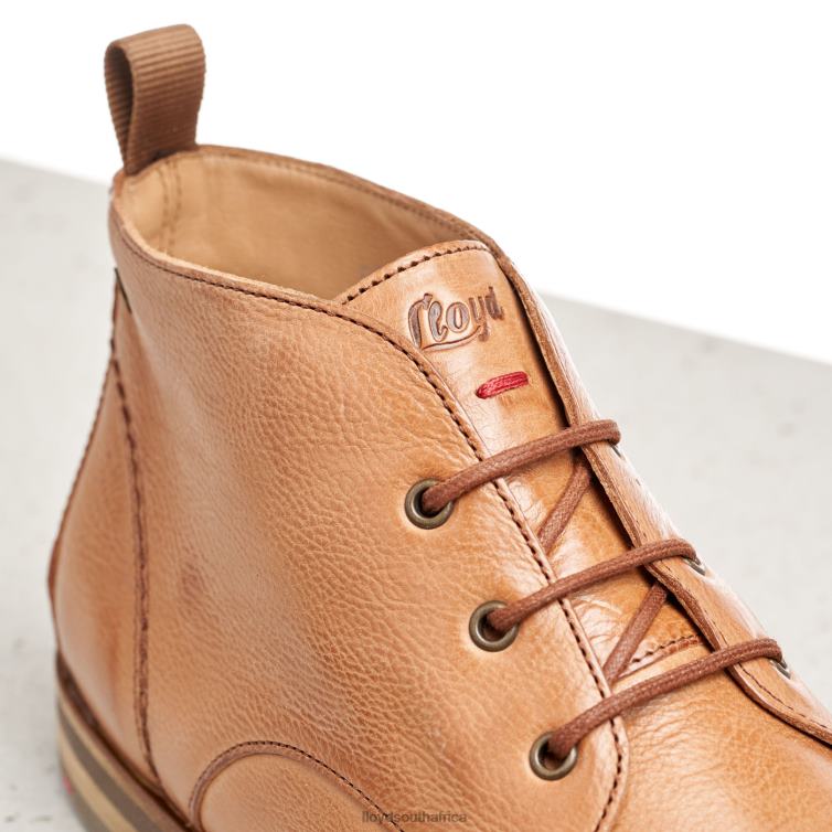 Shoes brown LLOYD lace-up ANKLE BOOTS Women 86B4D994