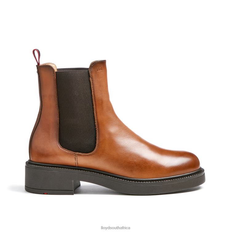 Shoes brown LLOYD sporty smooth leather ANKLE BOOT Women 86B4D894