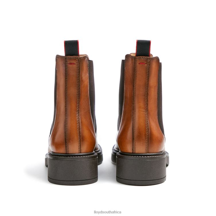 Shoes brown LLOYD sporty smooth leather ANKLE BOOT Women 86B4D894