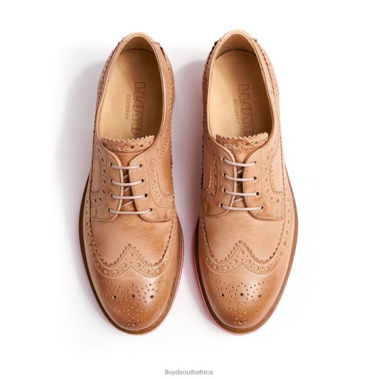 Shoes brown LLOYD LACE UP HALF SHOES Women 86B4D1063