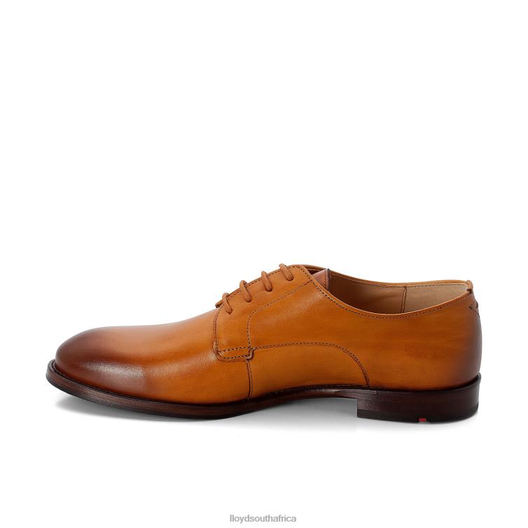 Shoes brown LLOYD LACE UP HALF SHOES Women 86B4D1090