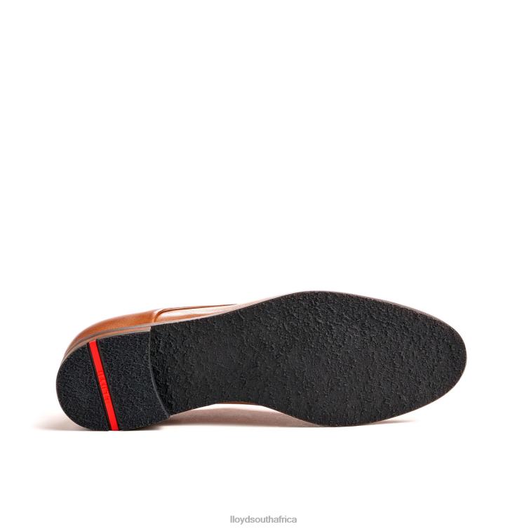 Shoes brown LLOYD SPOTY LACE UP HALF SHOES Women 86B4D1030