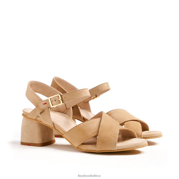 Shoes beige LLOYD BREEZY SANDALS Women 86B4D1157