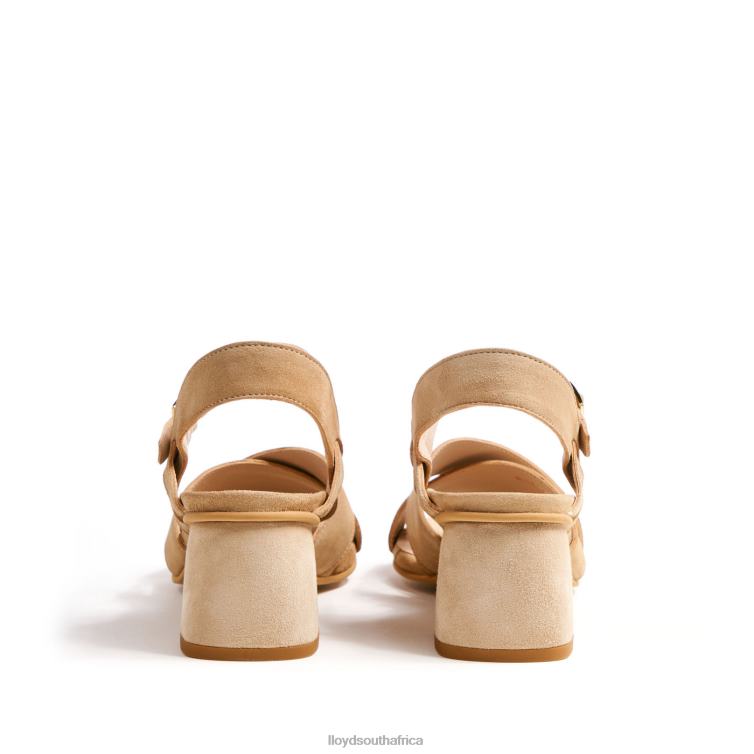 Shoes beige LLOYD BREEZY SANDALS Women 86B4D1157