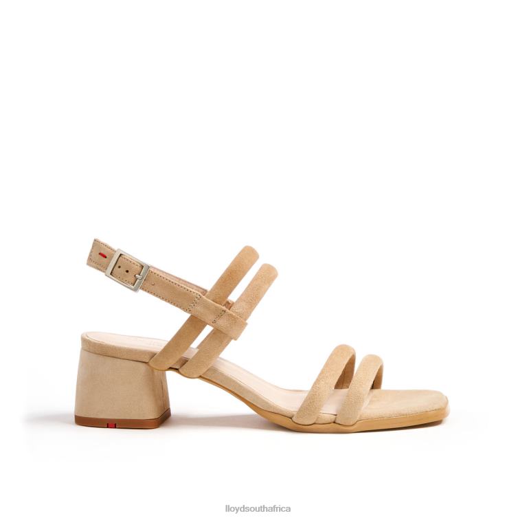 Shoes beige LLOYD BREEZY SANDALS Women 86B4D1163