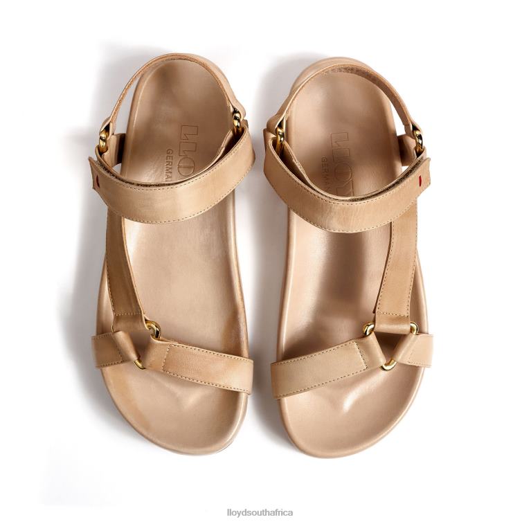 Shoes beige LLOYD BREEZY SANDALS Women 86B4D1200