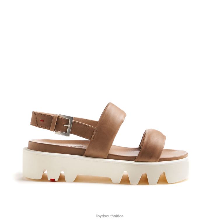 Shoes beige LLOYD LIGHT SANDALS Women 86B4D1202