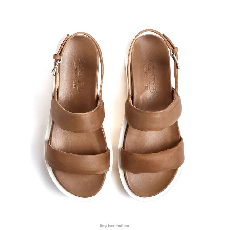 Shoes beige LLOYD LIGHT SANDALS Women 86B4D1202