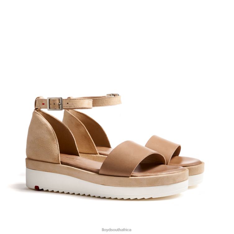 Shoes beige LLOYD SANDALS Women 86B4D1226