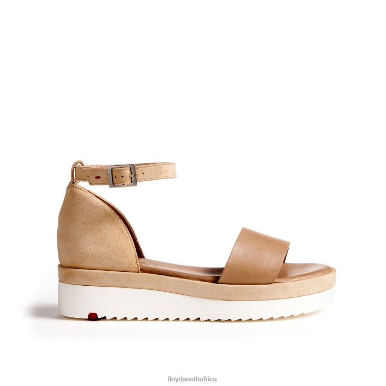 Shoes beige LLOYD SANDALS Women 86B4D1226