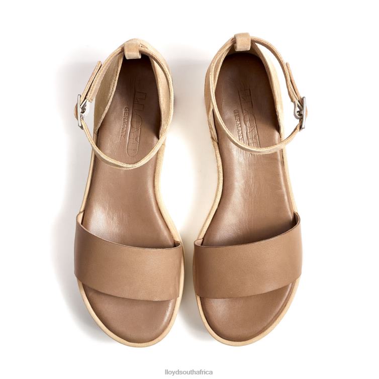 Shoes beige LLOYD SANDALS Women 86B4D1226
