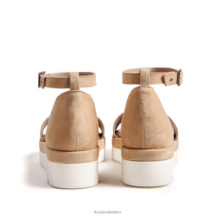 Shoes beige LLOYD SANDALS Women 86B4D1226