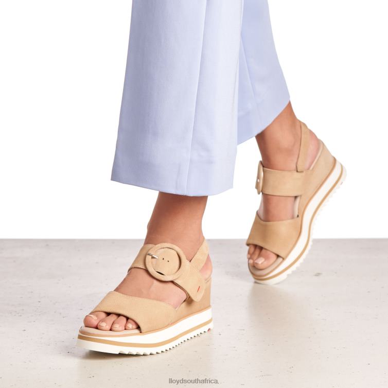 Shoes beige LLOYD SUEDE SANDALE Women 86B4D1224