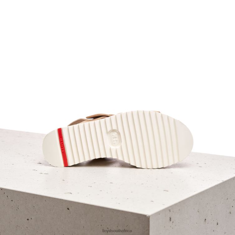 Shoes beige LLOYD SUEDE SANDALE Women 86B4D1224