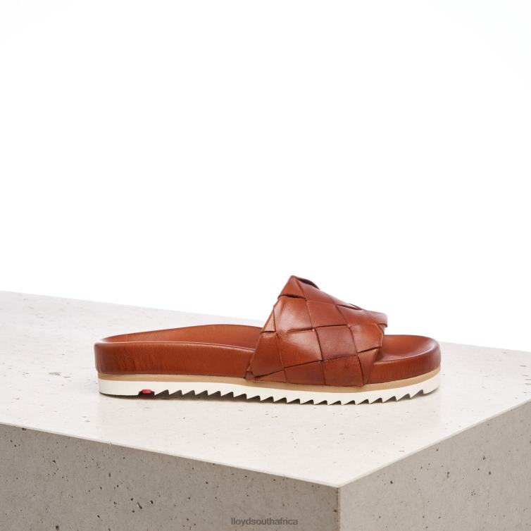 Shoes brown LLOYD PANTOLETTE Women 86B4D1227