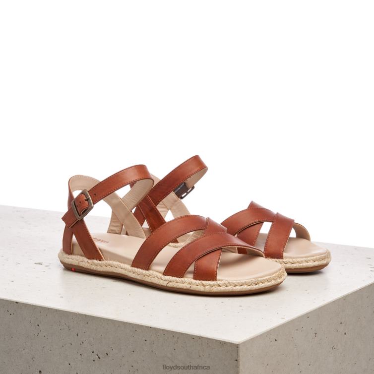 Shoes brown LLOYD SANDALE Women 86B4D1210