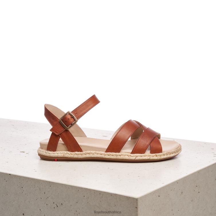 Shoes brown LLOYD SANDALE Women 86B4D1210